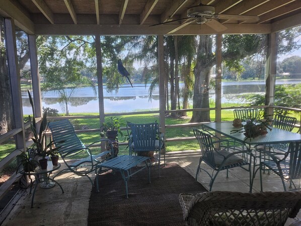 Property grounds - Serene Lakefront North Tampa Top-Notch 4-bed Courtyard Home Golf Cart Getaway (Tampa)