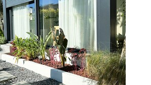 A modern building with large windows, a garden with various plants, and a metal structure.