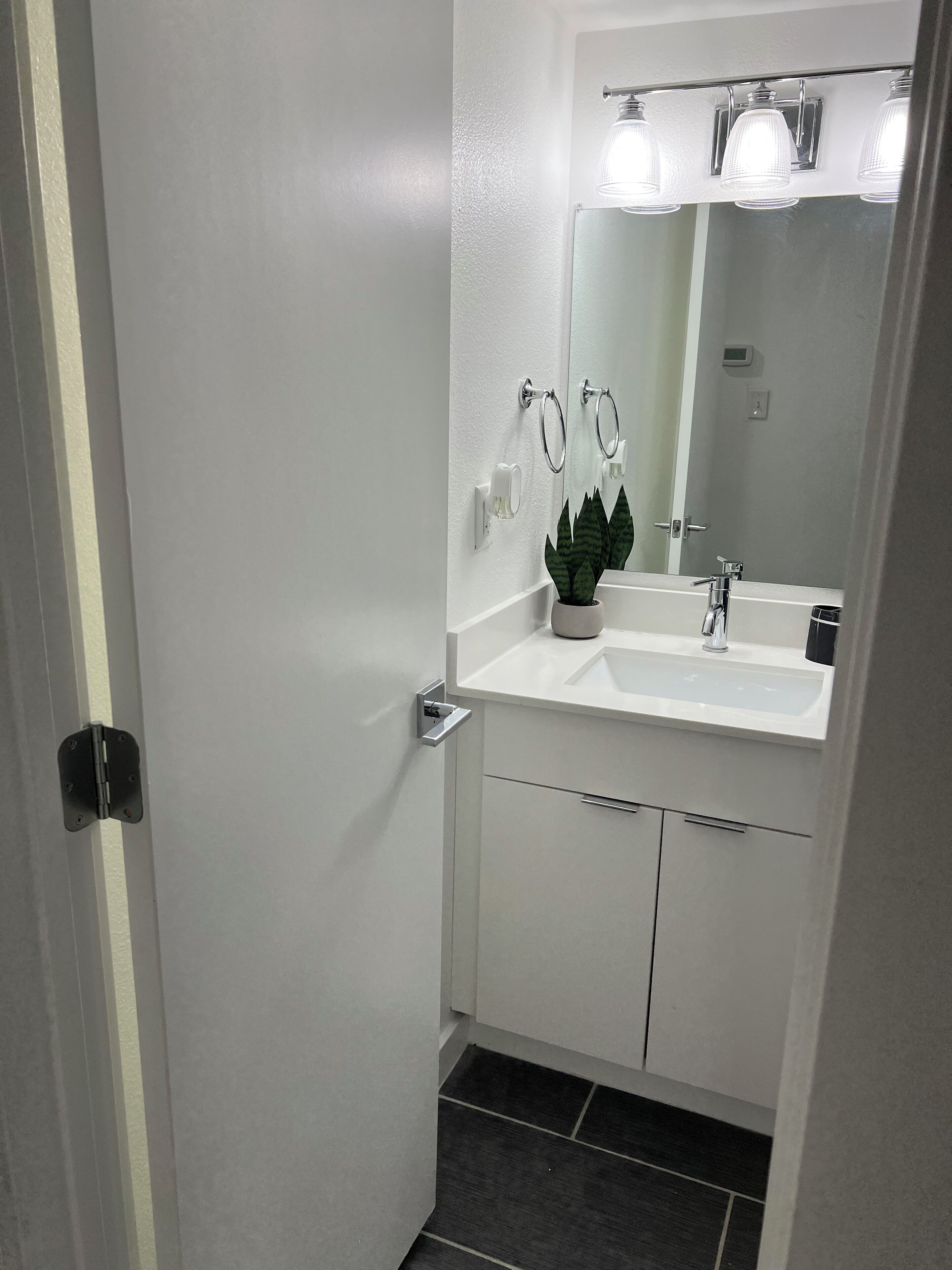 A bathroom with a white sink, a mirror, and a potted plant.