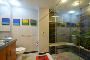 Douche, sèche-cheveux, serviettes fournies, papier toilette