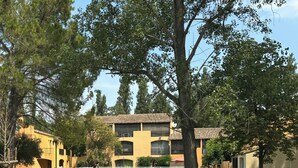 A residential building with a swimming pool, surrounded by a grassy lawn and trees. - Studio 1 room + pools  (Arles)
