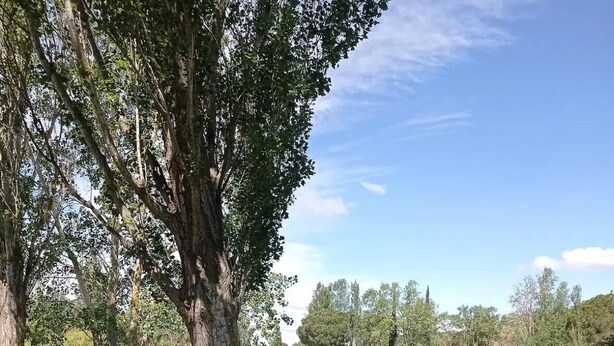 A picnic table by a lake with trees and a clear sky. - Studio 1 room + pools  (Arles)