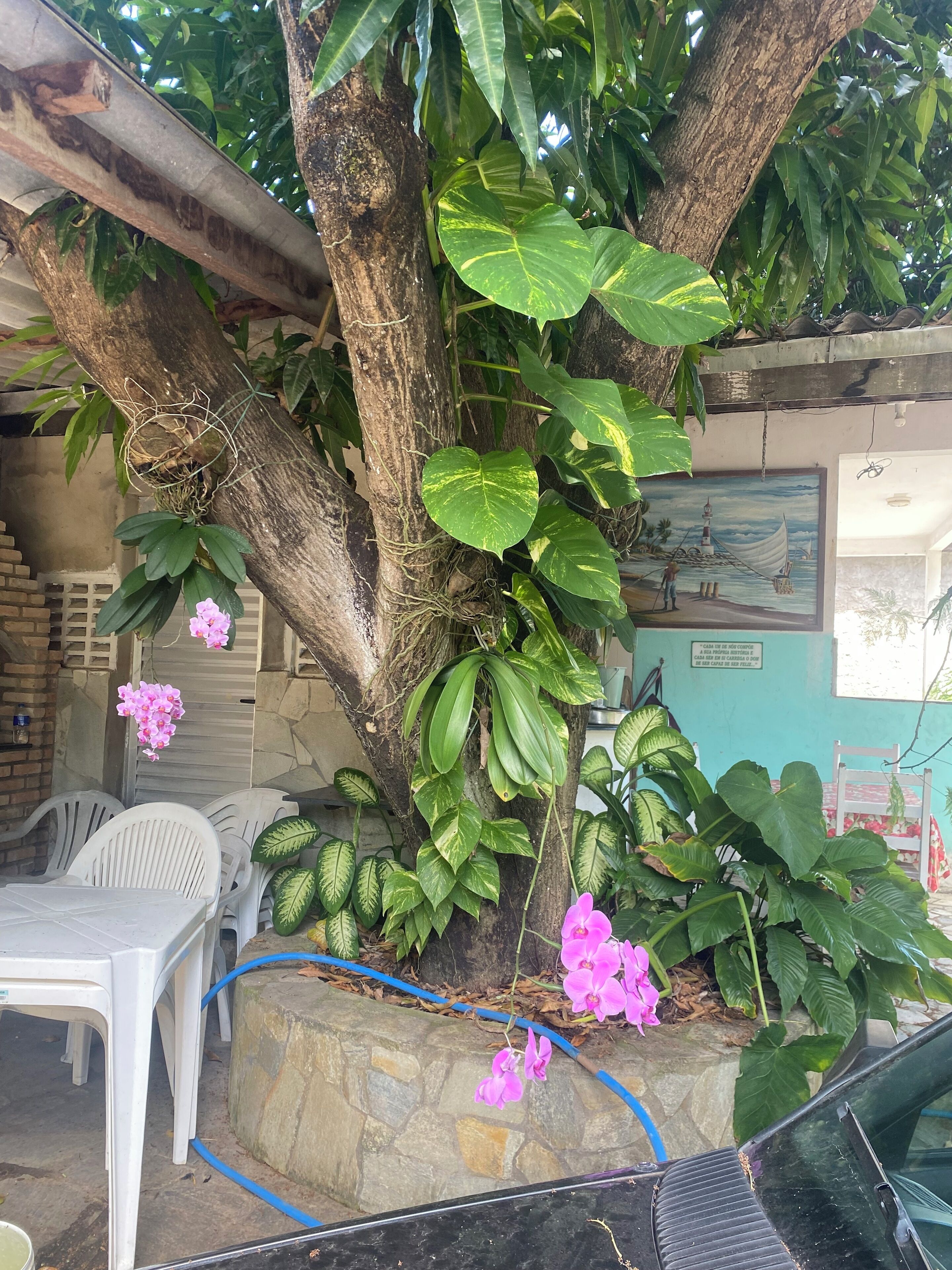 Cottage in a Farm / Family-friendly, Natural Environment / Pets allowed