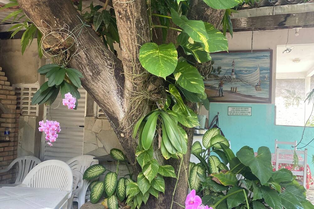 Cottage in a Farm / Family-friendly, Natural Environment / Pets allowed