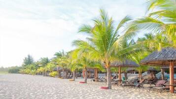 A beach with rows of palm trees and thatched-roof structures, likely for shade.