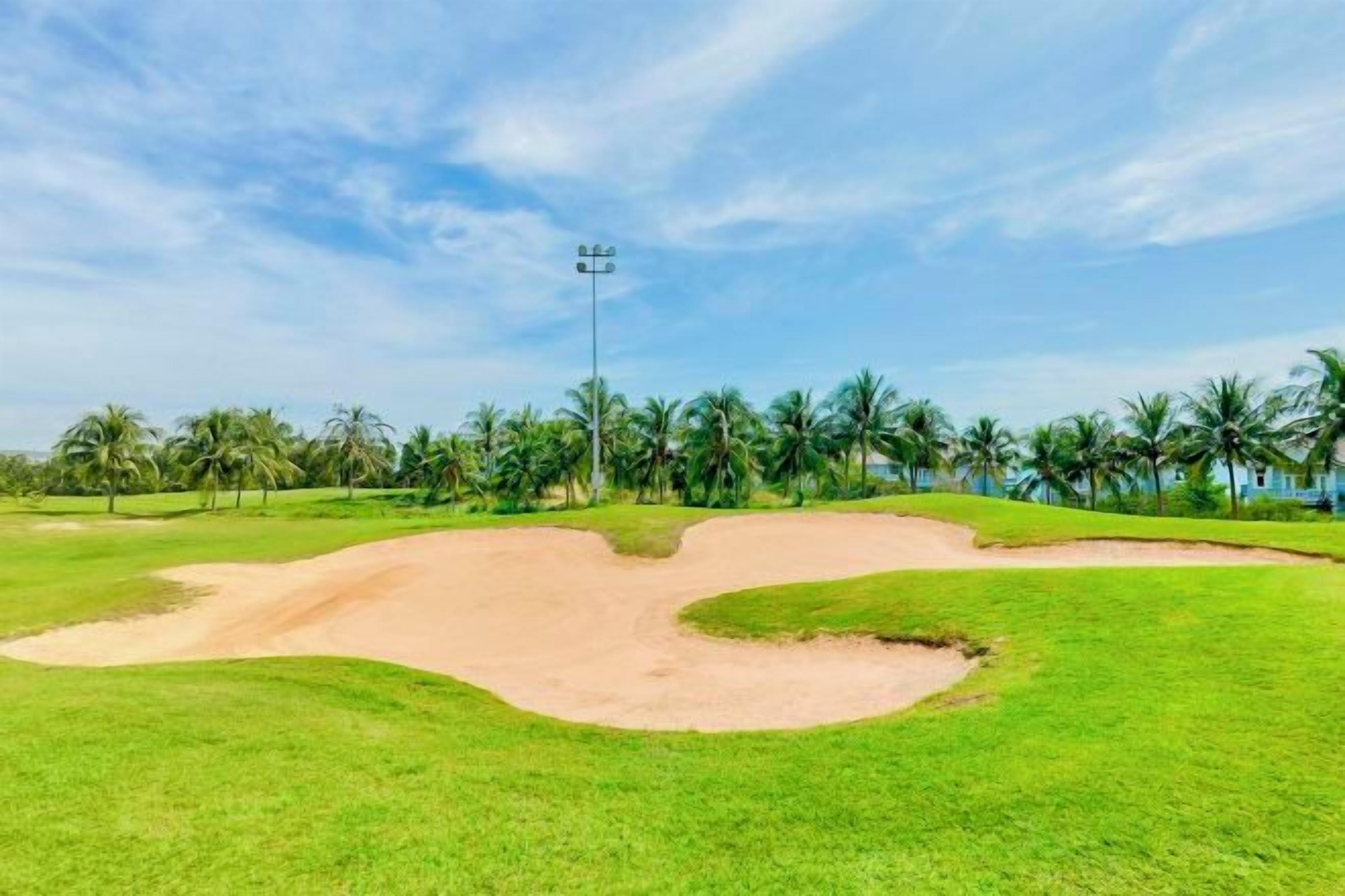 Un campo de golf con un búnker de arena, césped verde y palmeras.