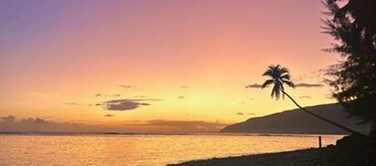 TAHITI - Mango Lodge Matie