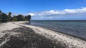 A beach with white sand and dark water, palm trees, and a clear sky.