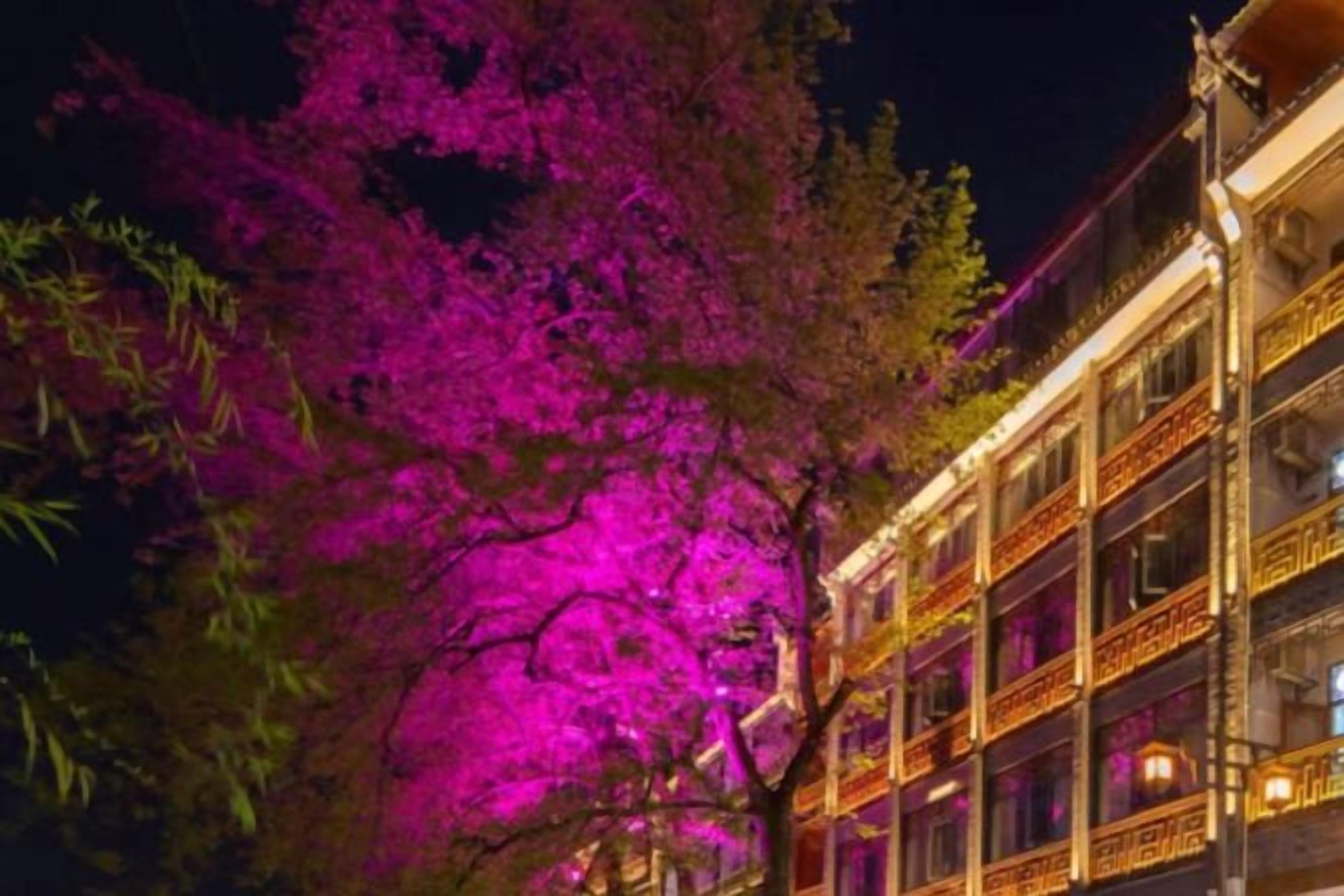 Un edificio a più piani con balconi e un albero dal fogliame rosa.