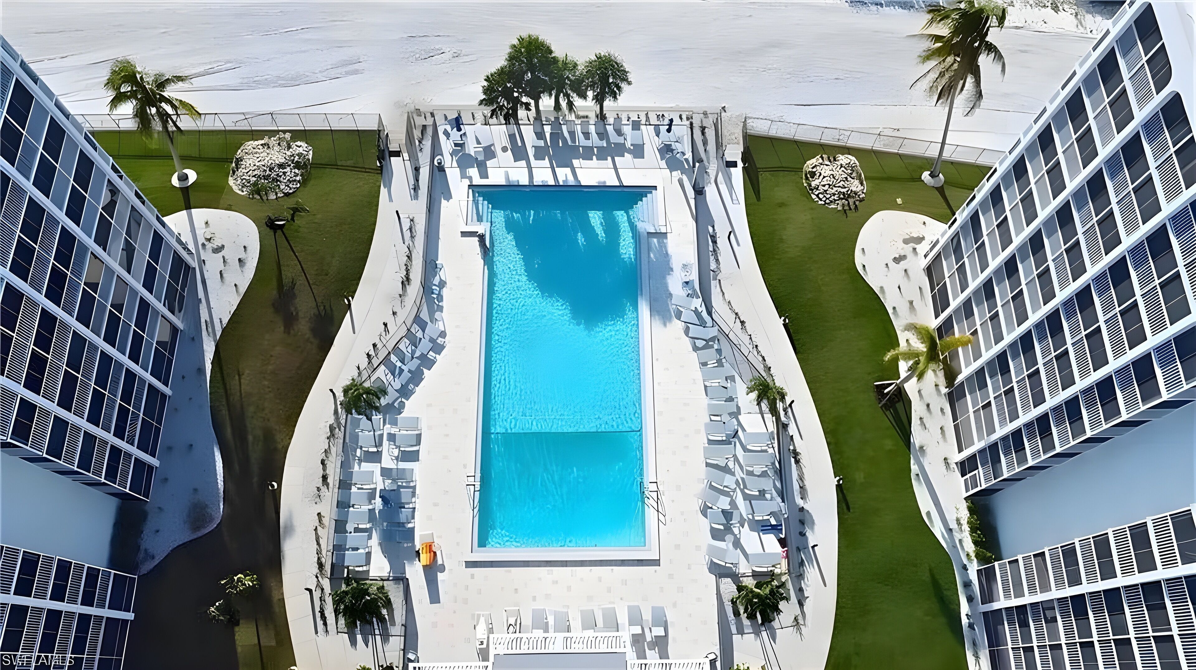 A rooftop pool with a clear blue pool, surrounded by lounge chairs and palm trees.