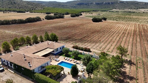 Cozy room among vineyards with breakfast (pets allowed)