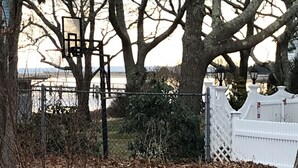 A fenced yard with trees and a white picket fence.