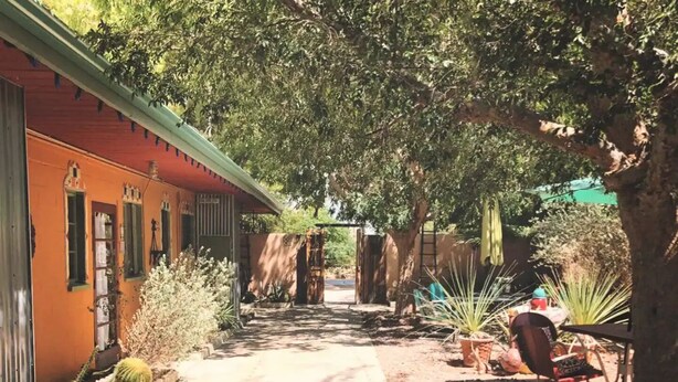 A pathway leading to a building with a red facade and green shutters, surrounded by various plants and trees.