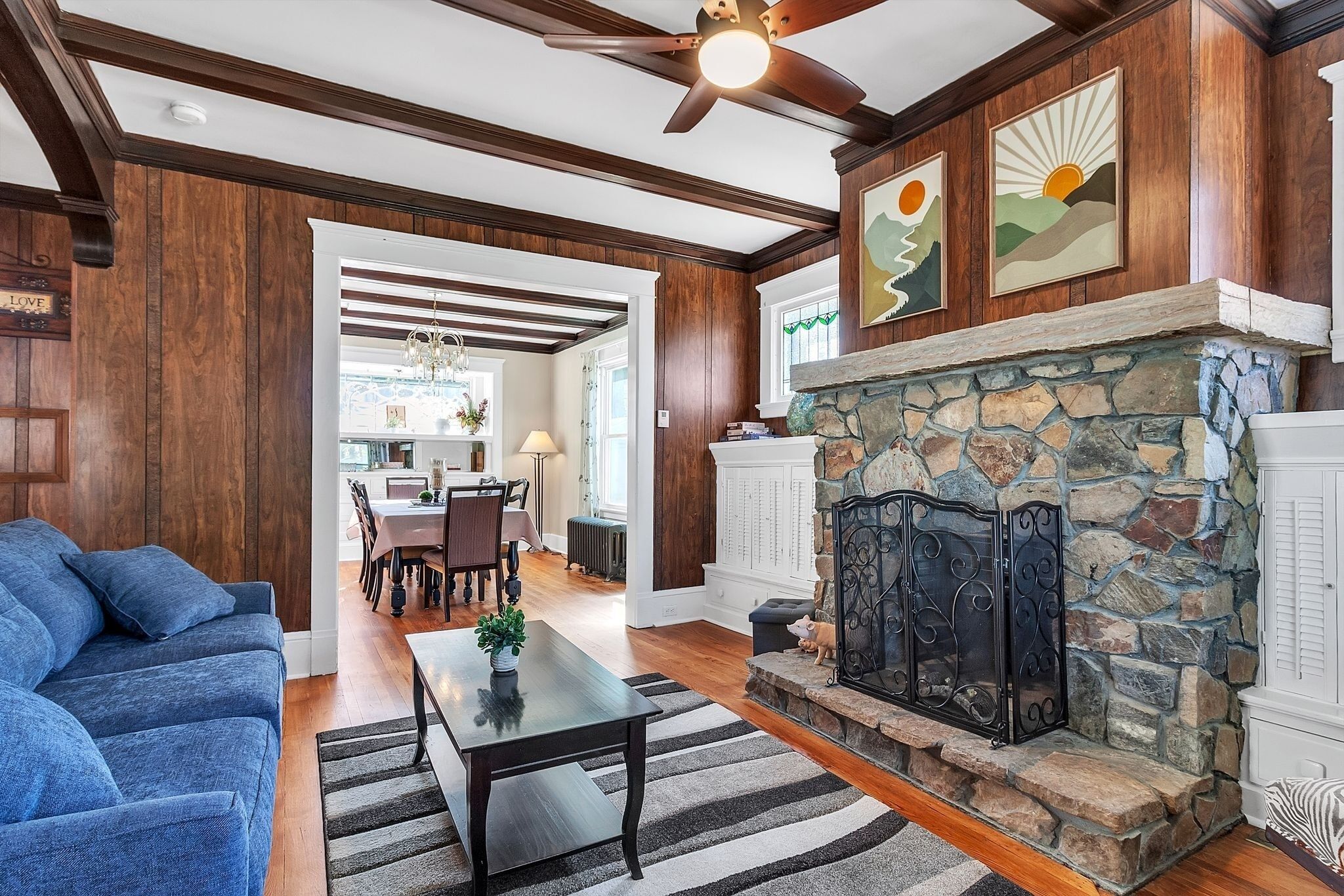 TV, fireplace, video games, books