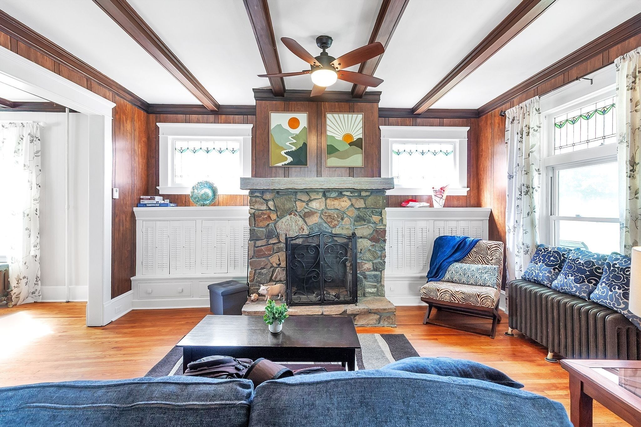 TV, fireplace, video games, books