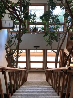A staircase with wooden railings, carpeted steps, and a view of the outdoors through large windows. - Unique Home Peaceful Near Boulder Dogs Ok (Longmont)