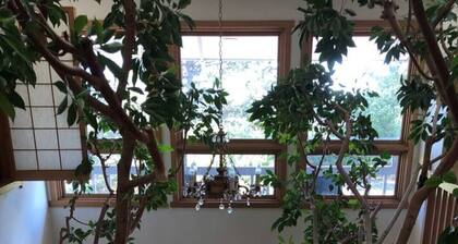 Unique Home Peaceful Near Boulder Dogs Ok