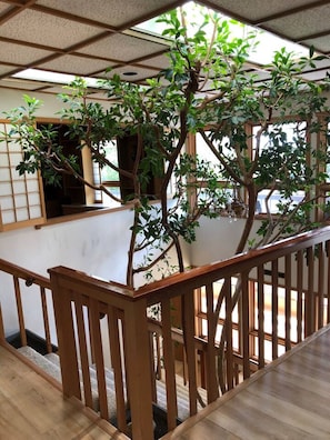 Une pièce dotée d’un escalier en bois, donnant sur un jardin, et comprenant une porte coulissante traditionnelle de style japonais.