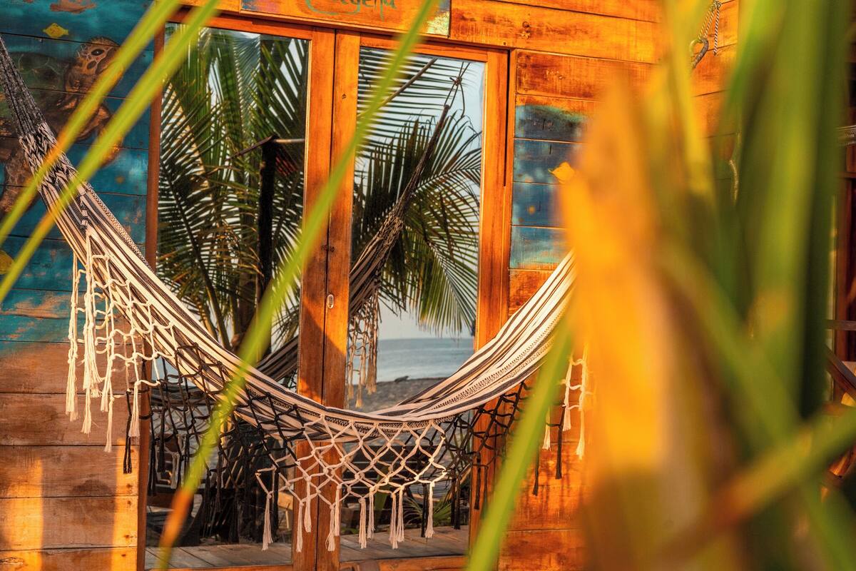 A hammock tied between wooden posts, overlooking a palm tree and a view of the ocean.