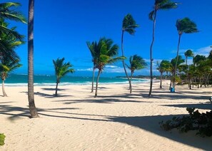 Une plage bordée de palmiers, sous un ciel bleu et dégagé.