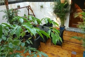 A wooden floor with potted plants and a small wooden structure. - Zhouzhuang Hanshe Ziteng Bieyuan (Kunshan)