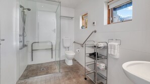 Shower, hair dryer, towels