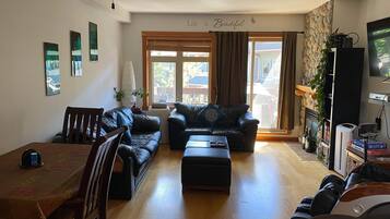 TV connectée, cheminée, lecteur de DVD, livres