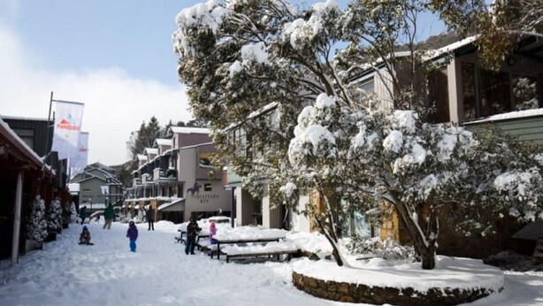 A snow-covered street with buildings, a bench, and a tree.