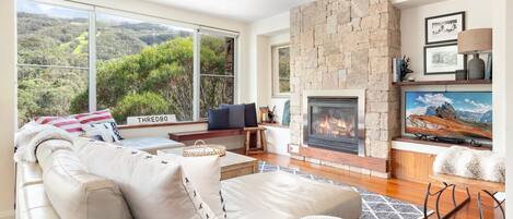 TV, fireplace