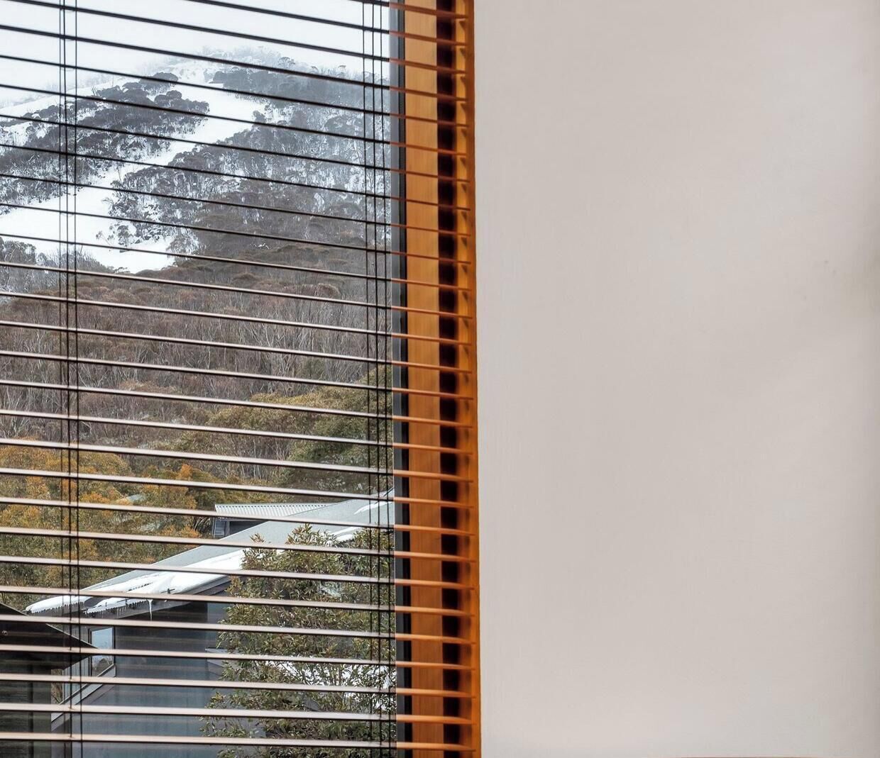 A window with horizontal blinds, a view of a mountain, and the text "SKI IN SKI OUT".