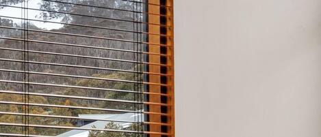 A window with horizontal blinds, a view of a mountain, and the text "SKI IN SKI OUT".