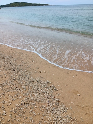 A beach with a sandy shore and scattered debris.