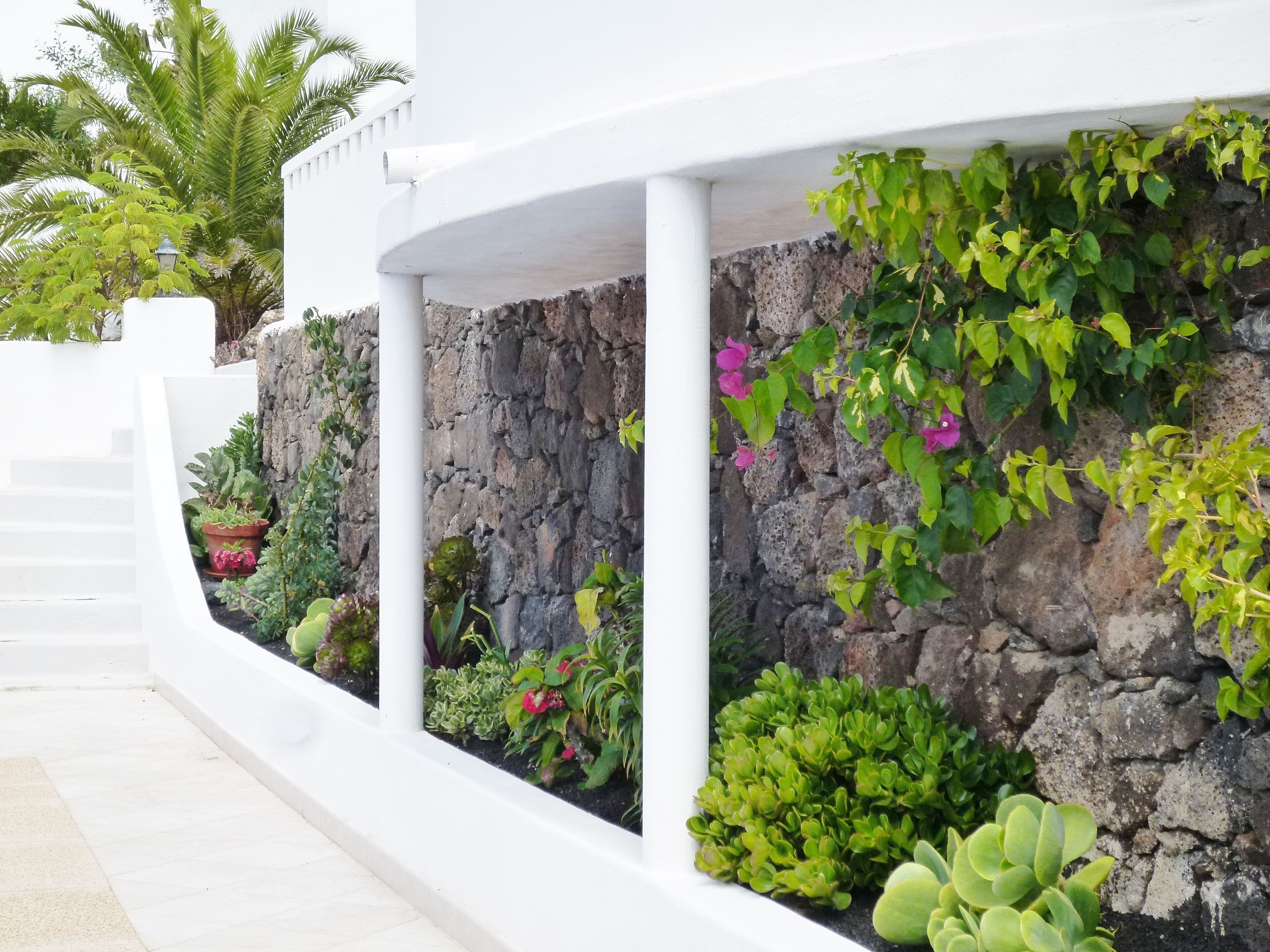 Un bâtiment blanc avec un mur en pierre et diverses plantes.