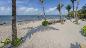 A beach with palm trees, a wooden pier, and lounge chairs. - 3BR Oceanfront Condo in Sac Bajo (Isla Mujeres)