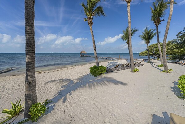 On the beach - 3BR Oceanfront Condo in Sac Bajo (Isla Mujeres)