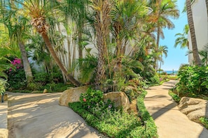 Stroll through the lush garden, surrounded by tropical plants and palm trees, to the modern building with a clean-lined facade.