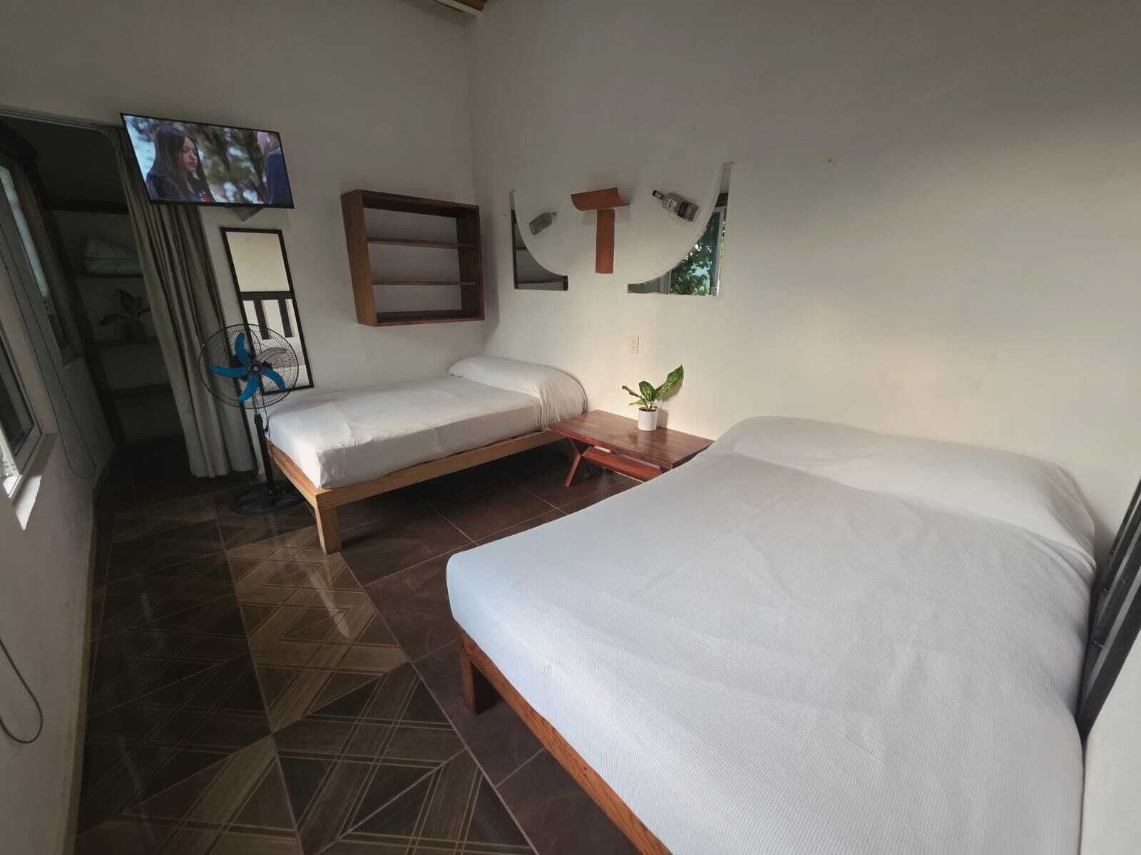 A room with two beds, a television, a fan, and a small plant.