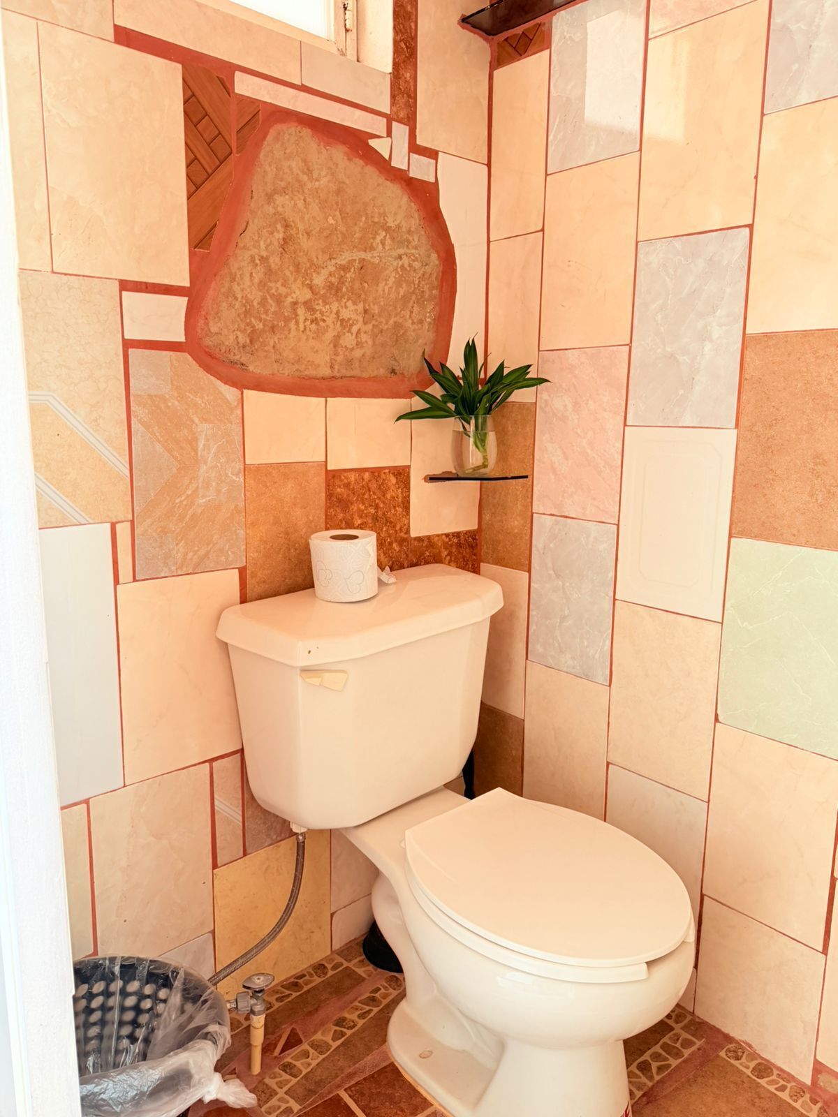 Un baño con inodoro, rollo de papel higiénico, planta en maceta y un cubo de basura.