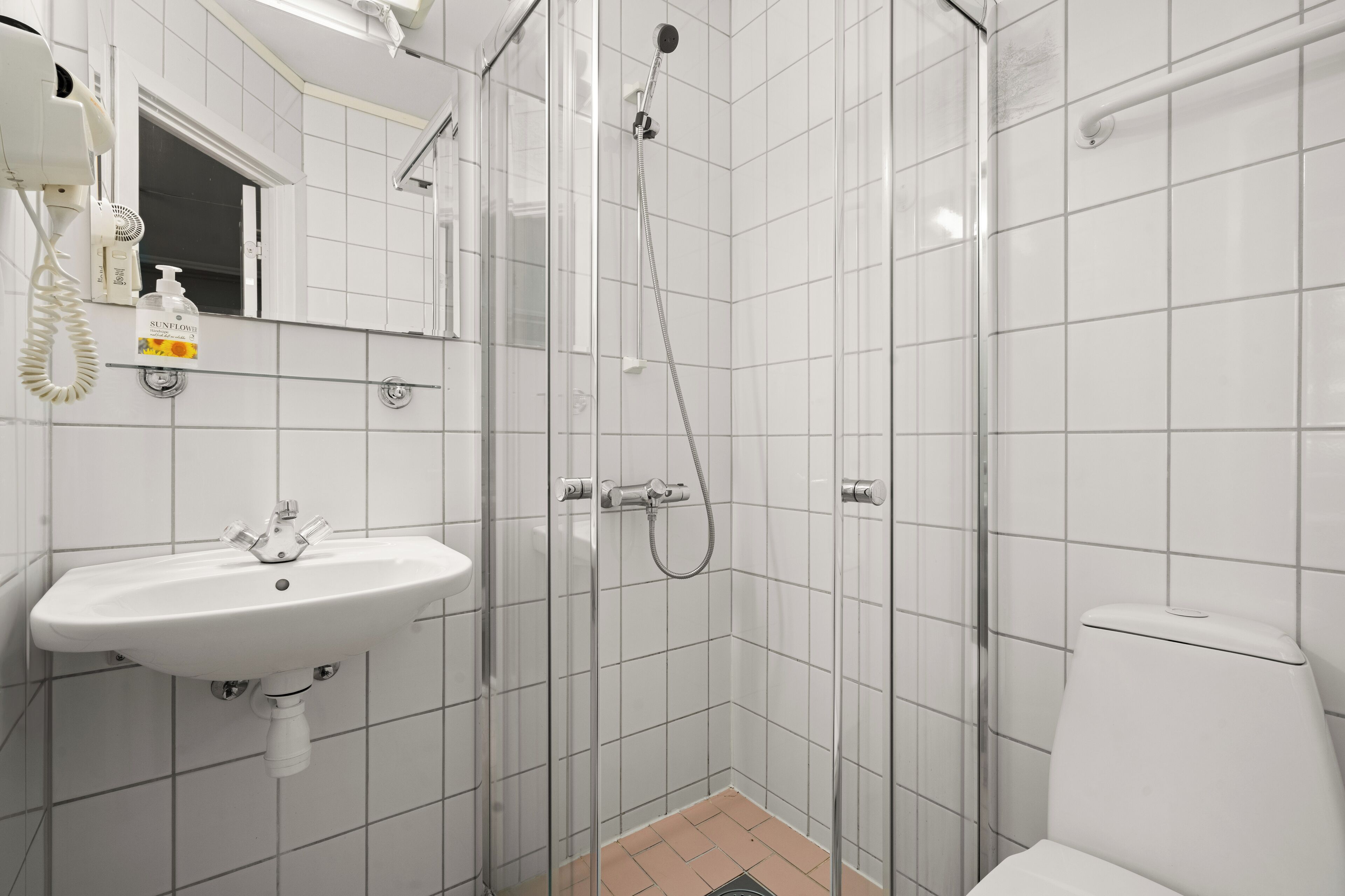 Dusche, Haartrockner, Handtücher, Seife