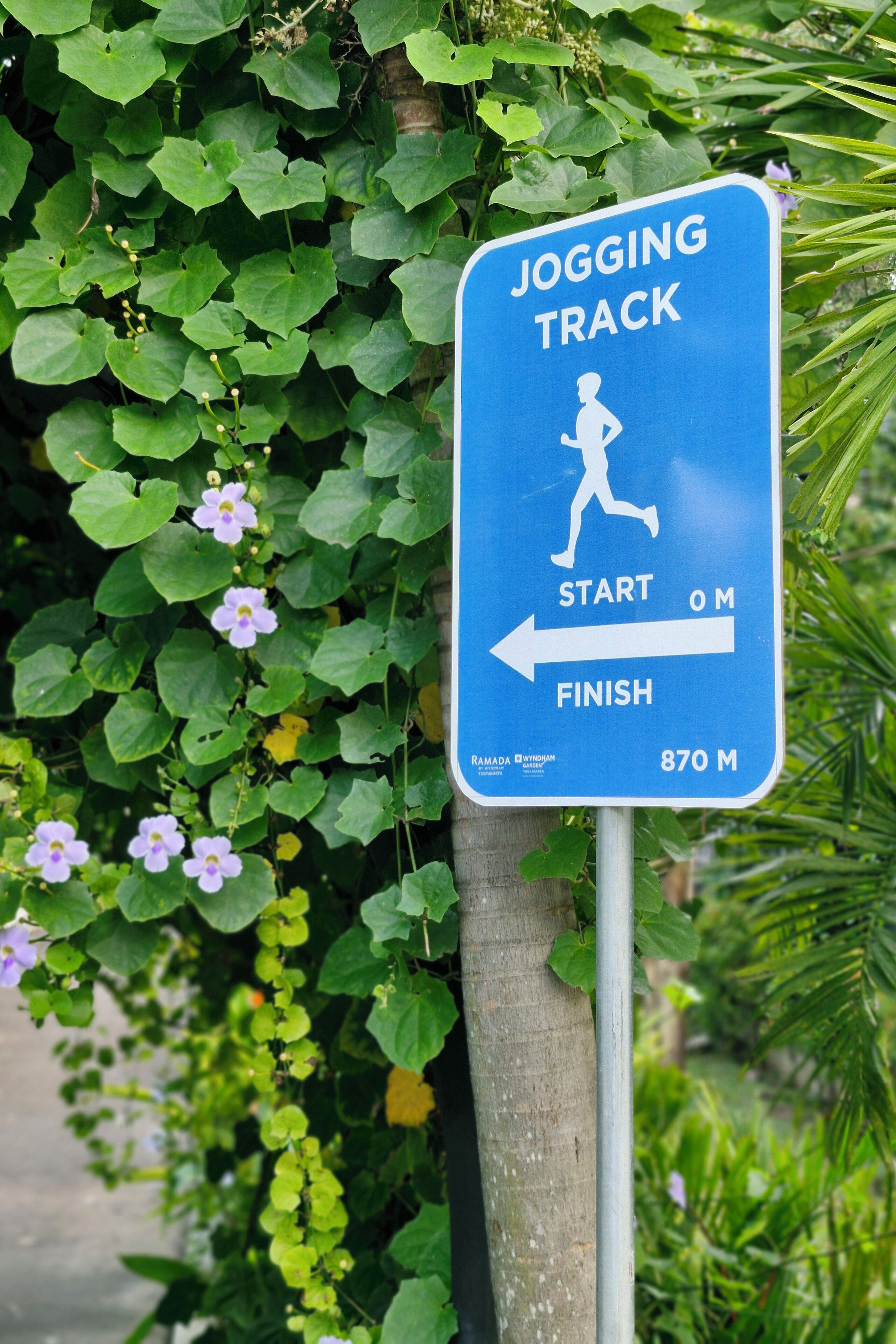 A jogging track sign with directional arrows and distance information.