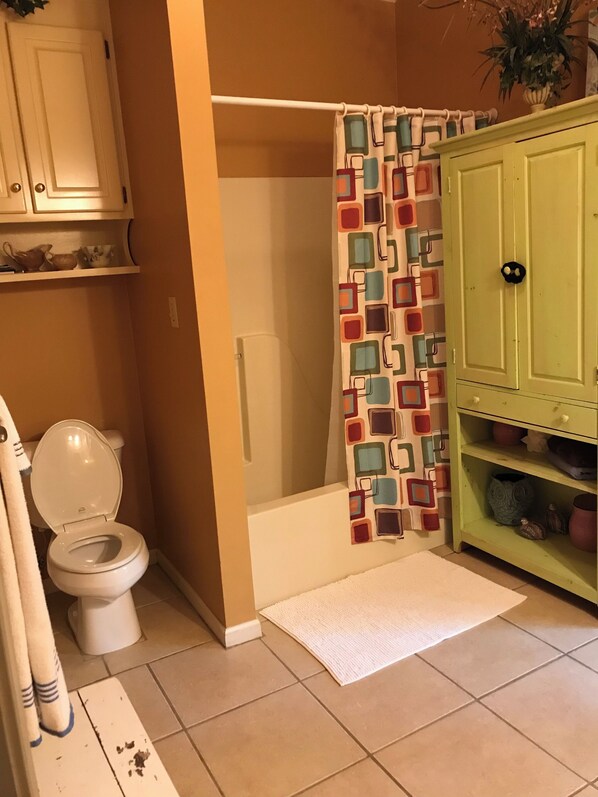 A bathroom with a toilet, shower, and a green cabinet.
