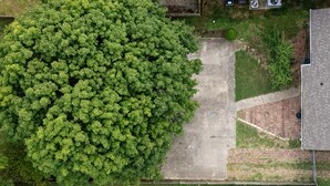 An aerial view of a residential area with a house, a large tree, and a driveway.