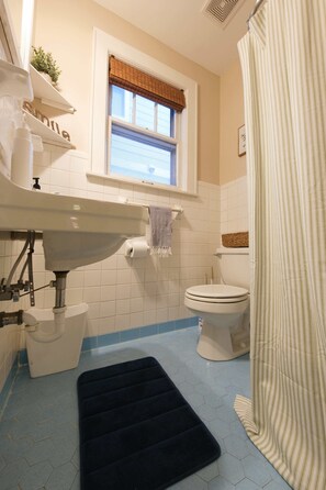 Chuveiro, secador de cabelo, toalhas de banho, shampoo