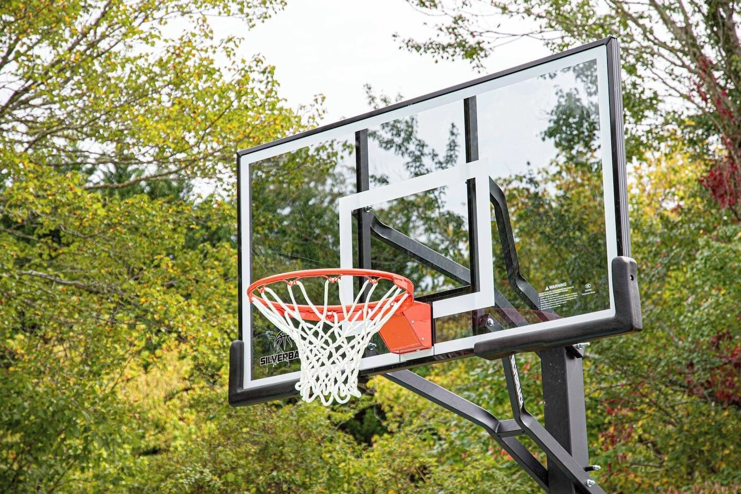 Ein Basketballkorb mit Netz, befestigt an einem Metallrahmen, vor einem Hintergrund aus Grünpflanzen.