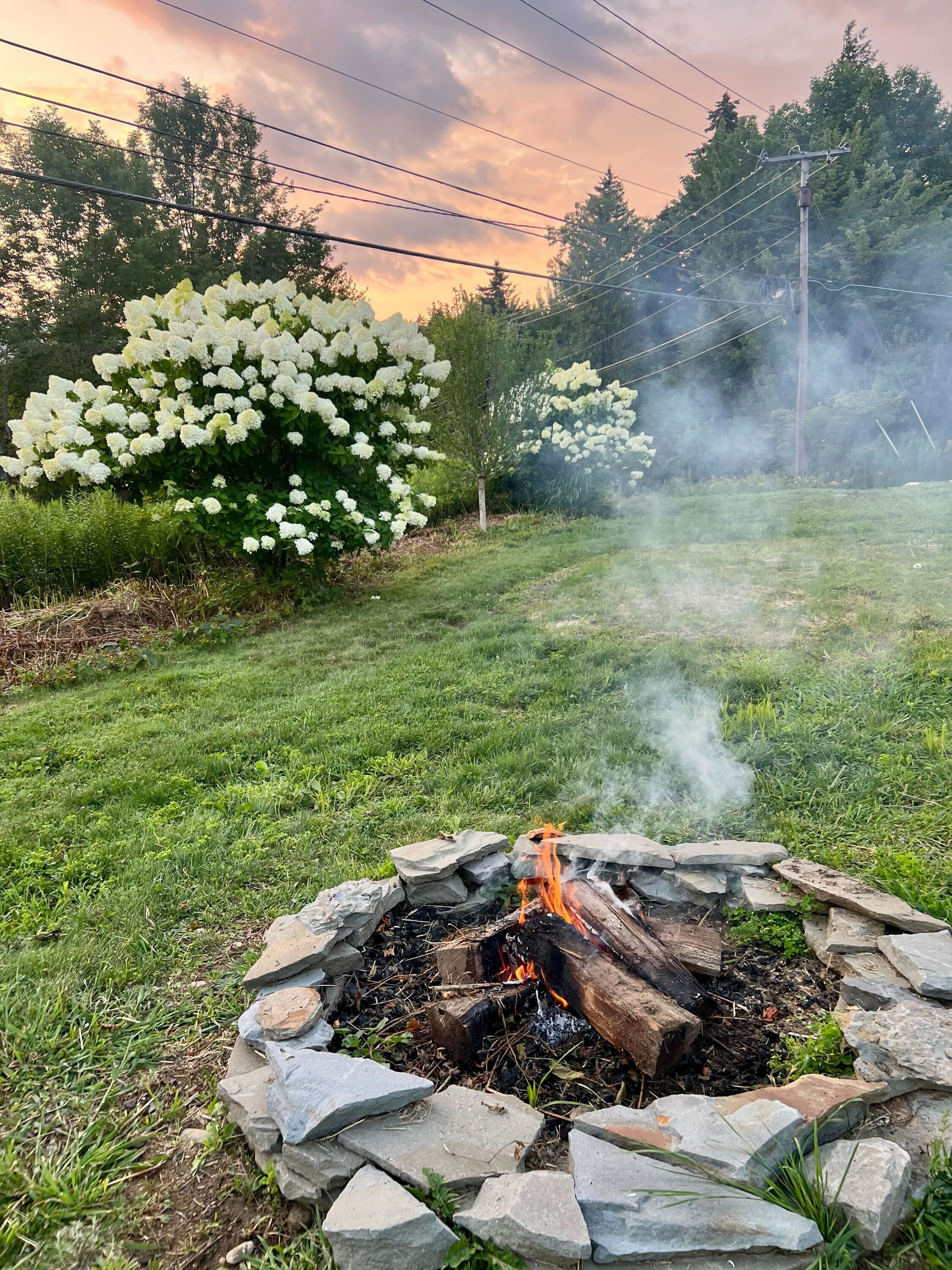 A fire pit with burning logs surrounded by rocks, set in a grassy area with trees and power lines in the background.
