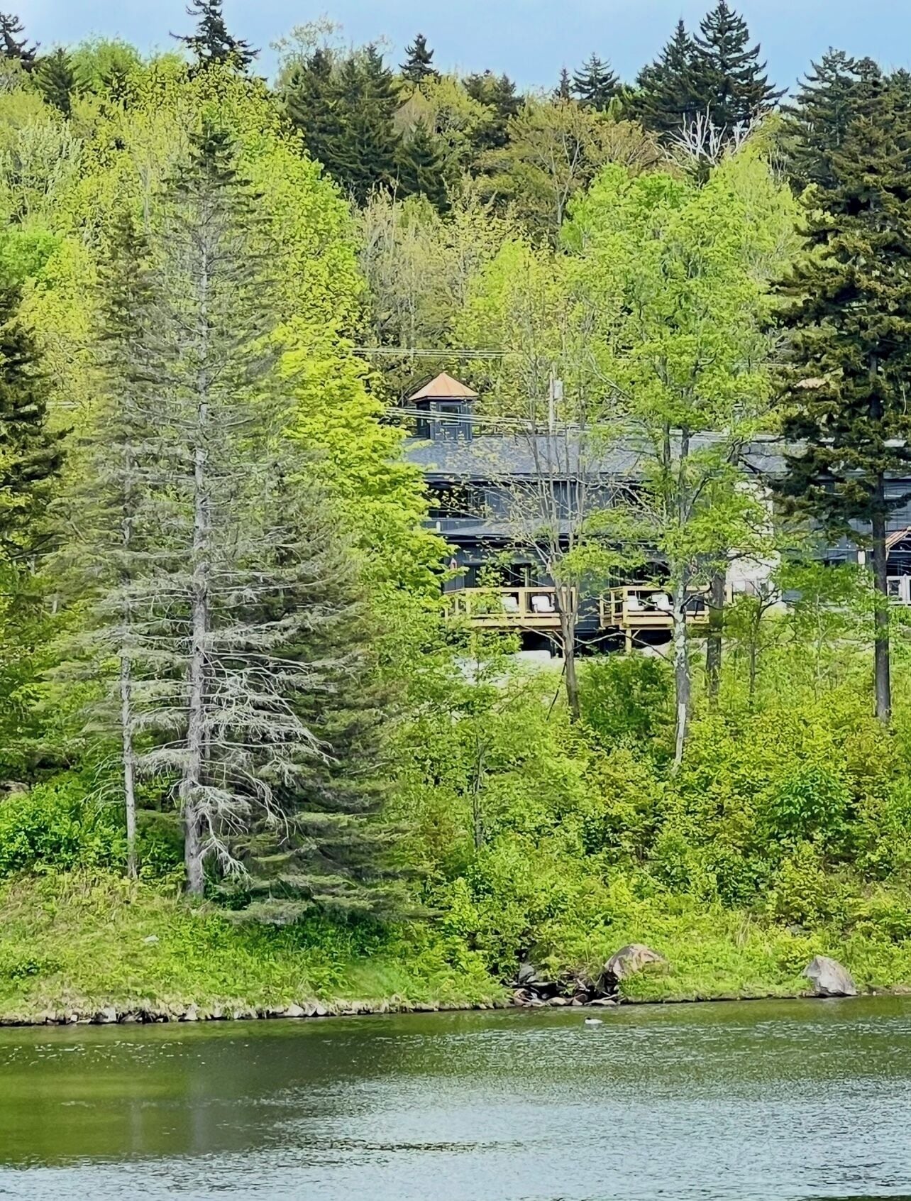 Una cabaña con terraza que da a un río, rodeada de un bosque frondoso.