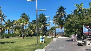Een geplaveid pad met stenen blokken, palmbomen en een helderblauwe lucht.