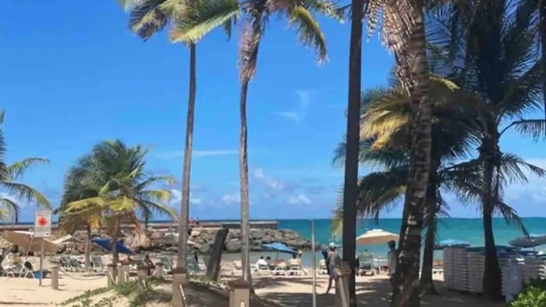 Een strand met palmbomen, een zandstrand en een helderblauwe lucht.