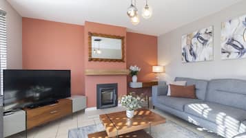 Smart-TV, Kamin