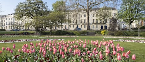 A garden with pink tulips and white flowers, surrounded by a building with multiple windows and doors.